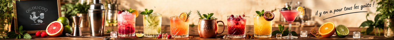 Kits cocktails et mocktails – recettes avec et sans alcool et shaker